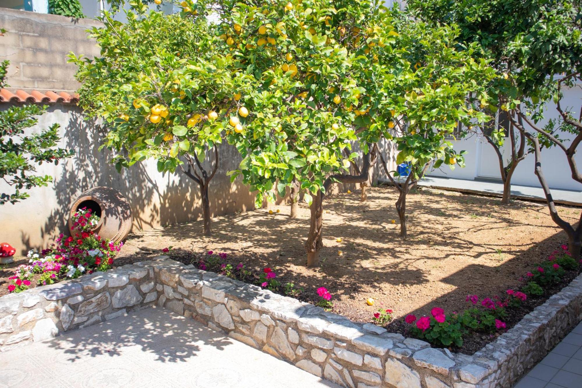 Athanasia Apartments Σκιάθος Πόλη Εξωτερικό φωτογραφία